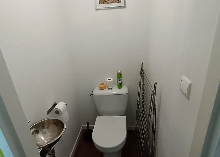 Palais Sur A 100 Metres De La سانت باليه سور مير